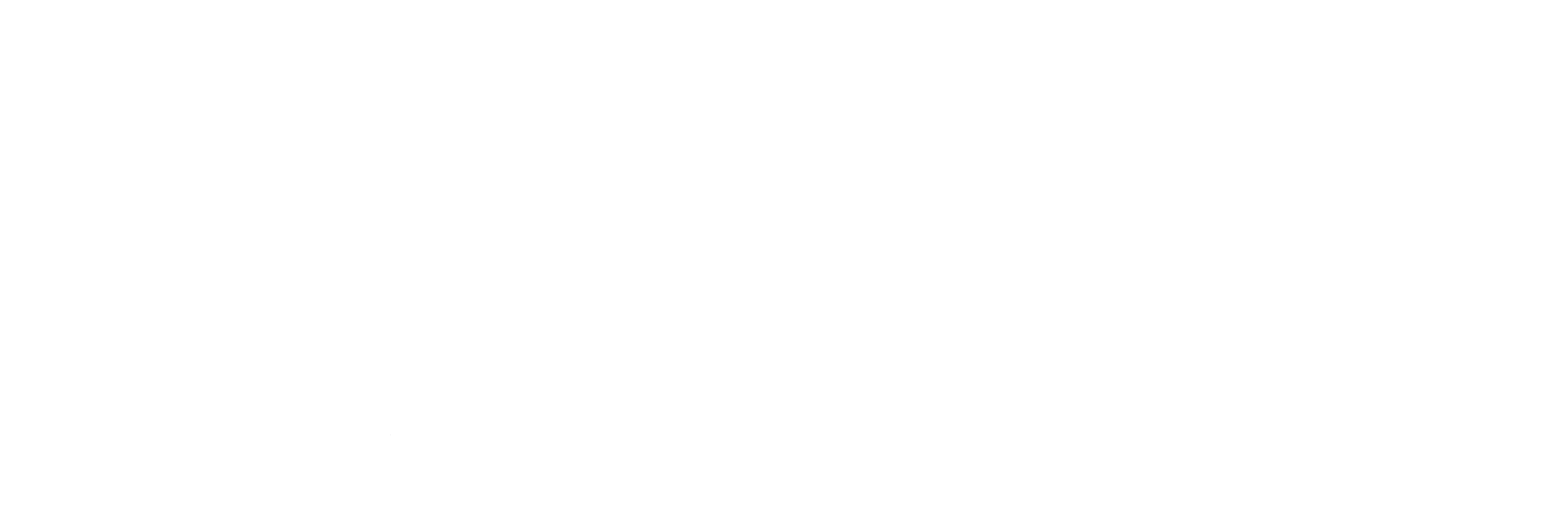 valenz-white-logo-small